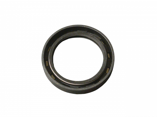 Dichtring Radlager hinten